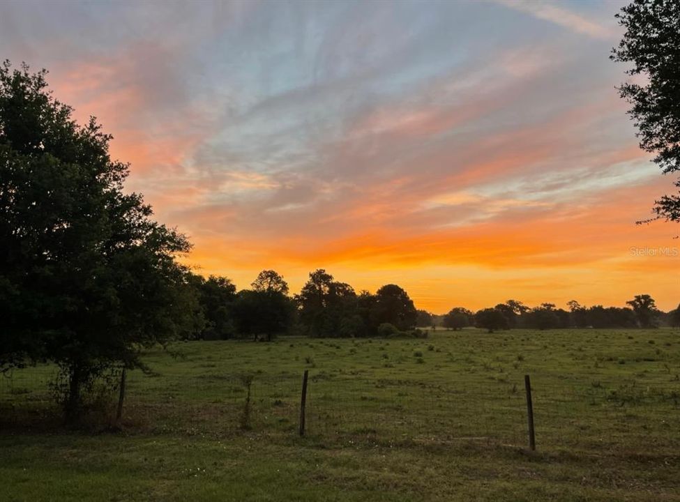 sunrise from back porch