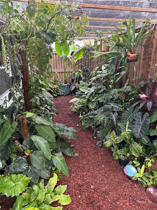 Garden before Hurricane Helene