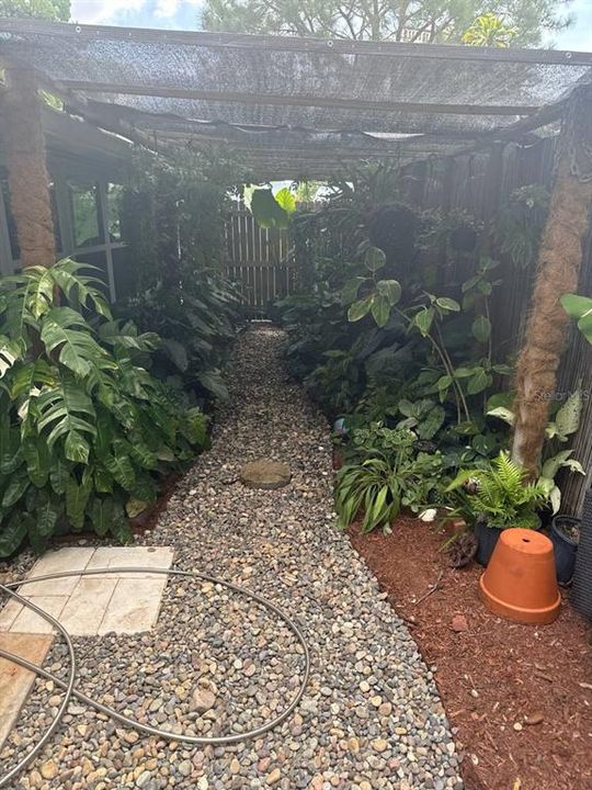 Garden before Hurricane Helene