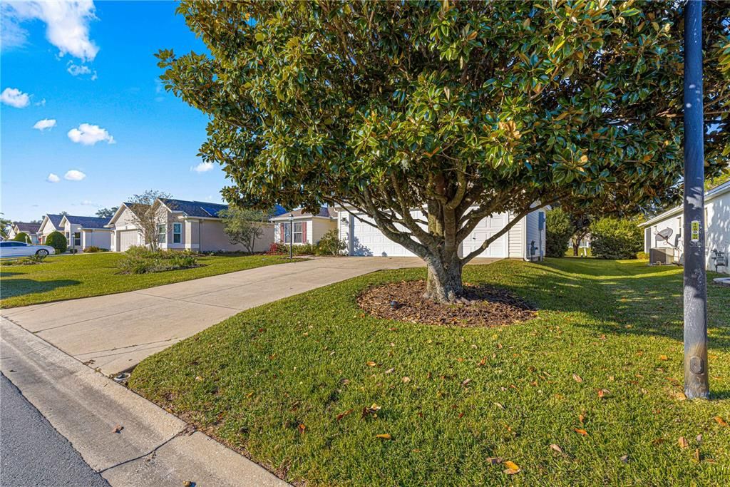 For Sale: $479,000 (3 beds, 2 baths, 1677 Square Feet)