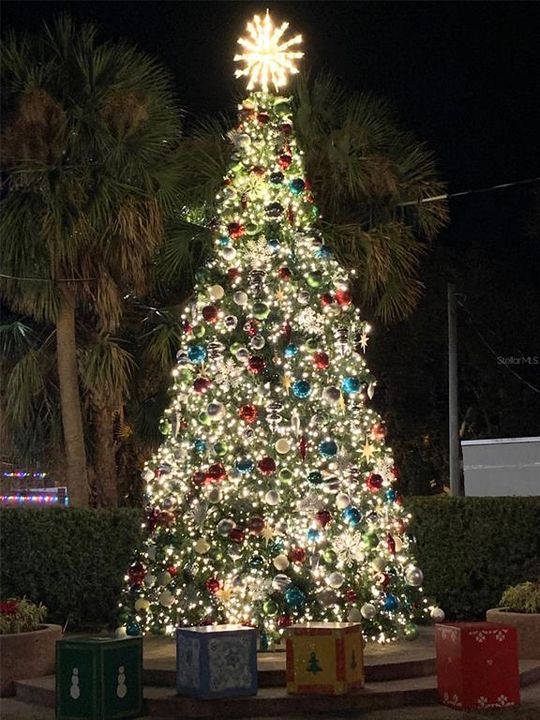 X-Mas tree off Canal St in park