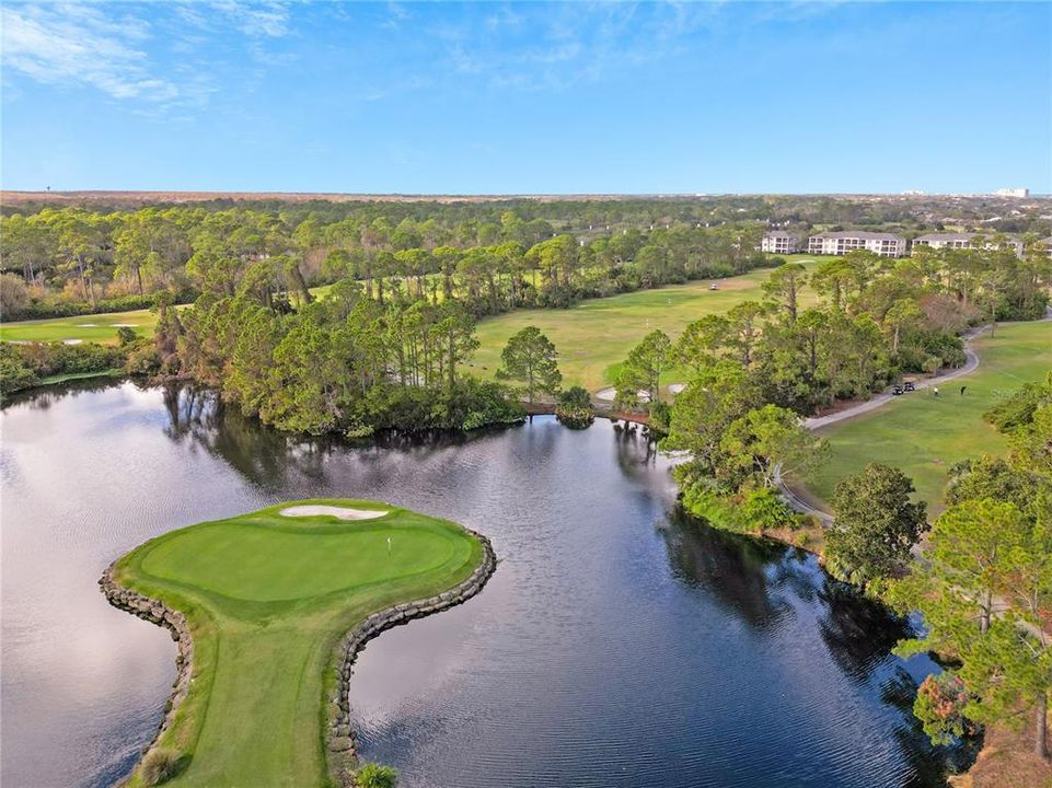 8th Hole Island Green...hit your best shot!