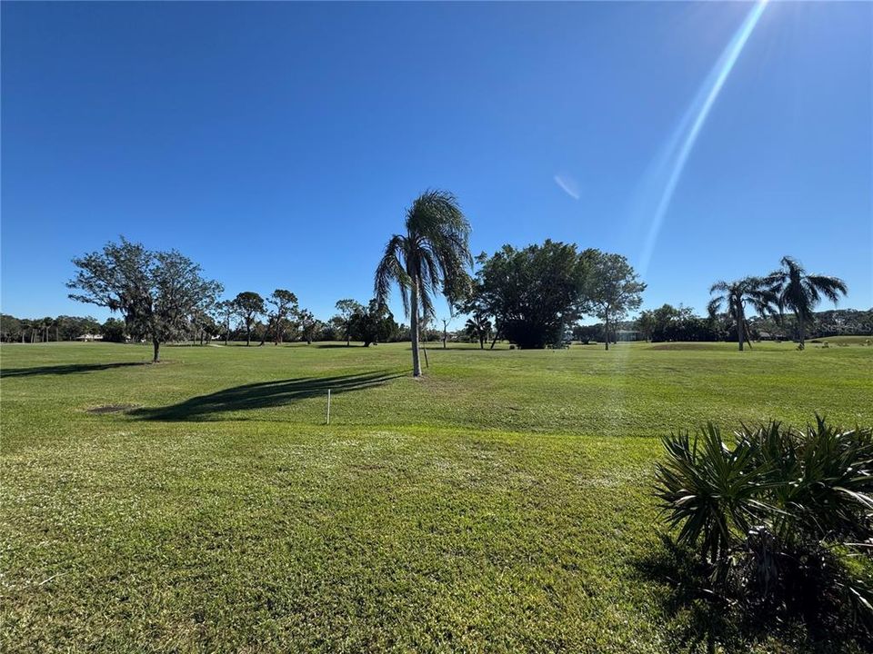 Golf course views from the pool!