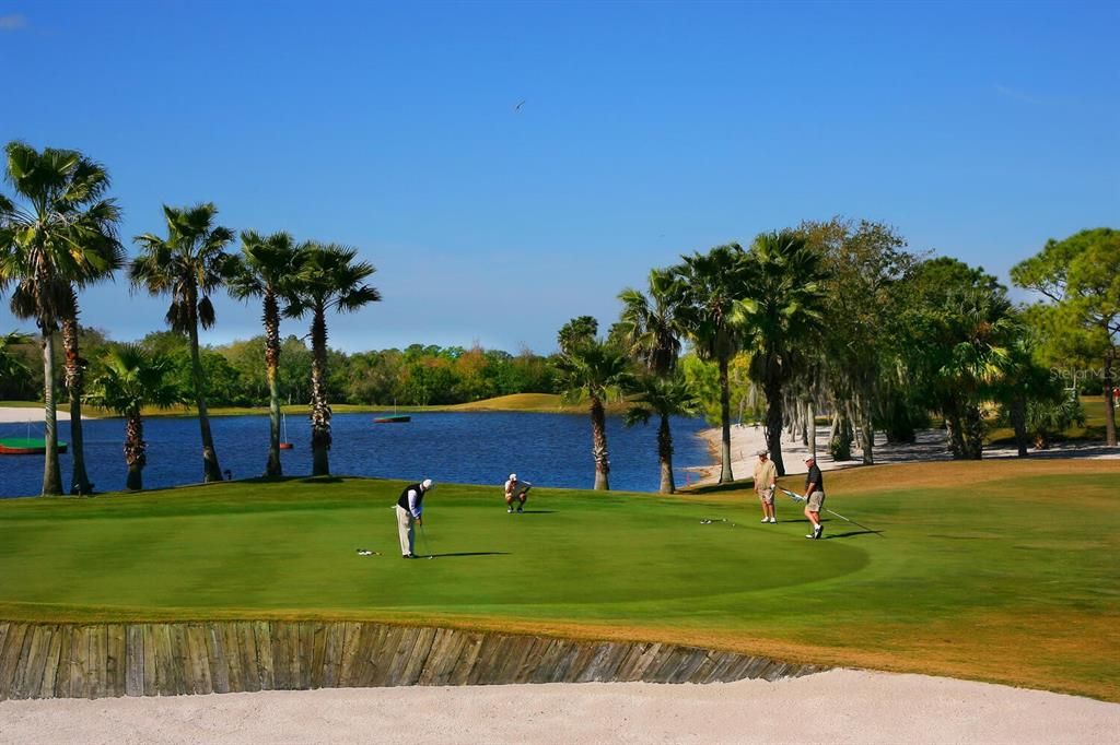 Golf Course w/ stunning views