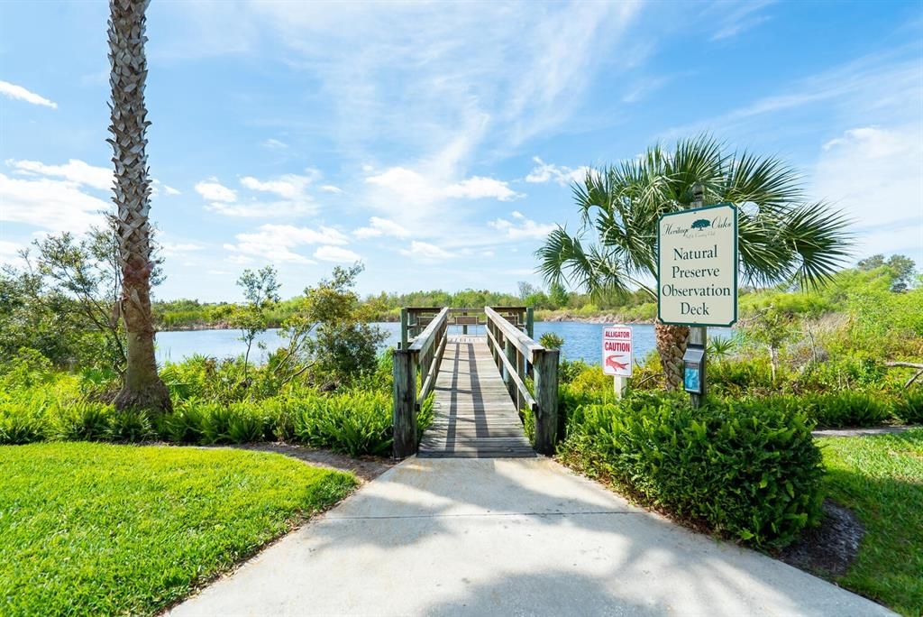 Nature preserve observation deck