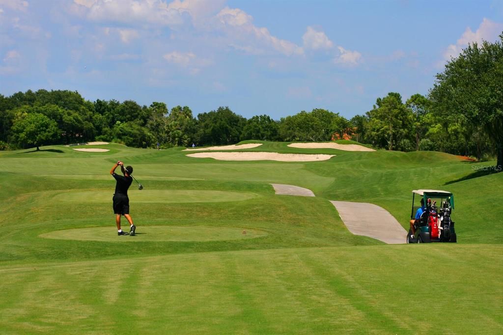 Golf Course at Heritage Oaks Golf & Country Club