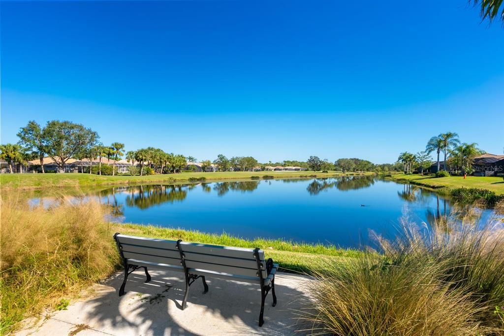 Bench w/ serene lake & golf course views