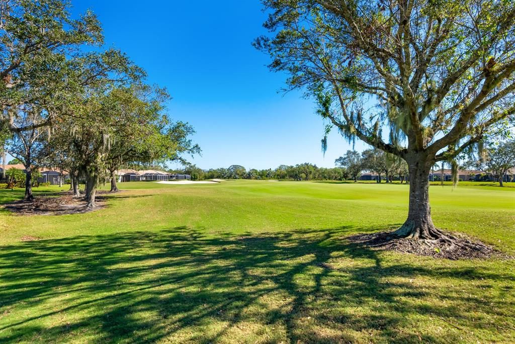 Golf Course View