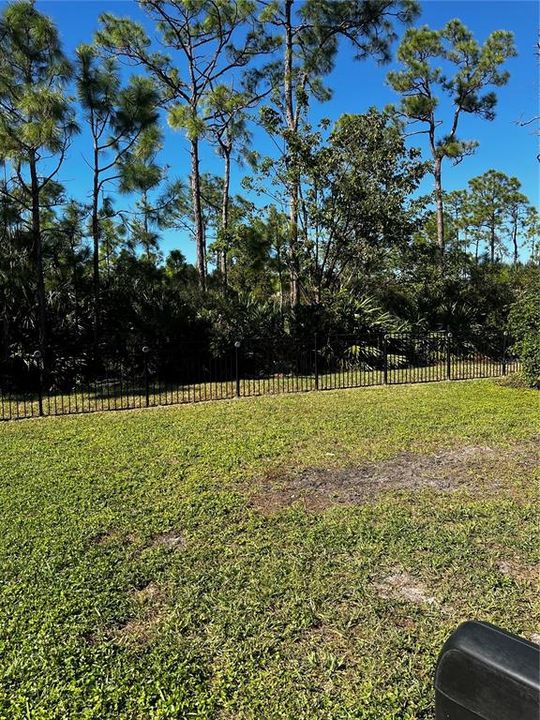 Nature Preserve view