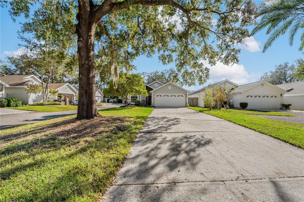 Long Driveway