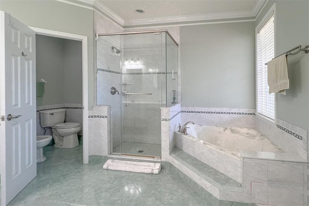 Master bathroom