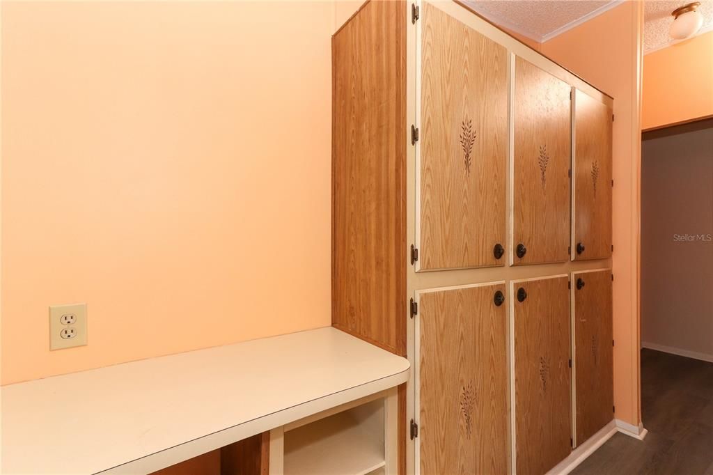 Storage in laundry room