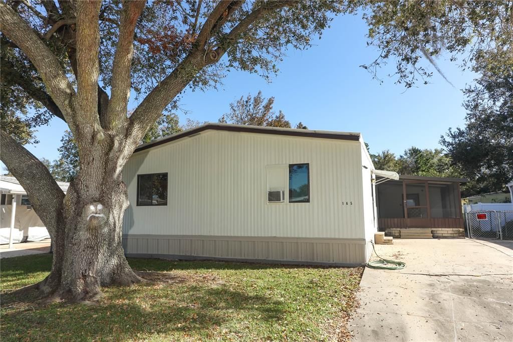 Front yard/driveway