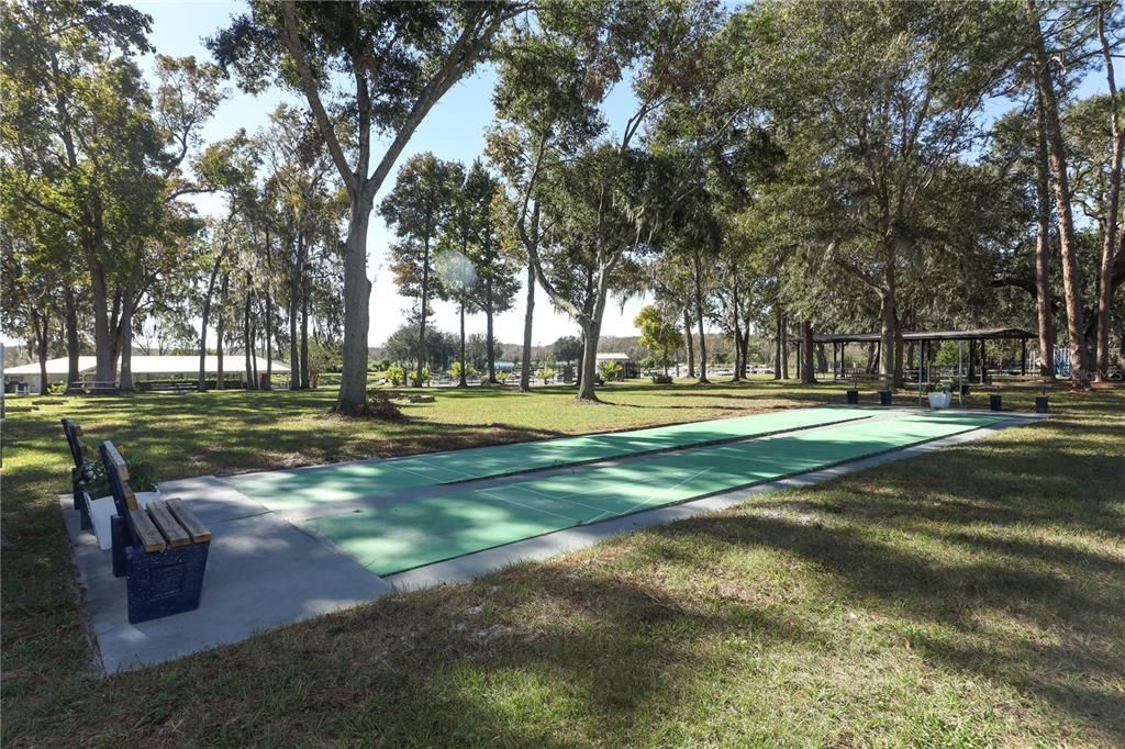 Shuffleboard court