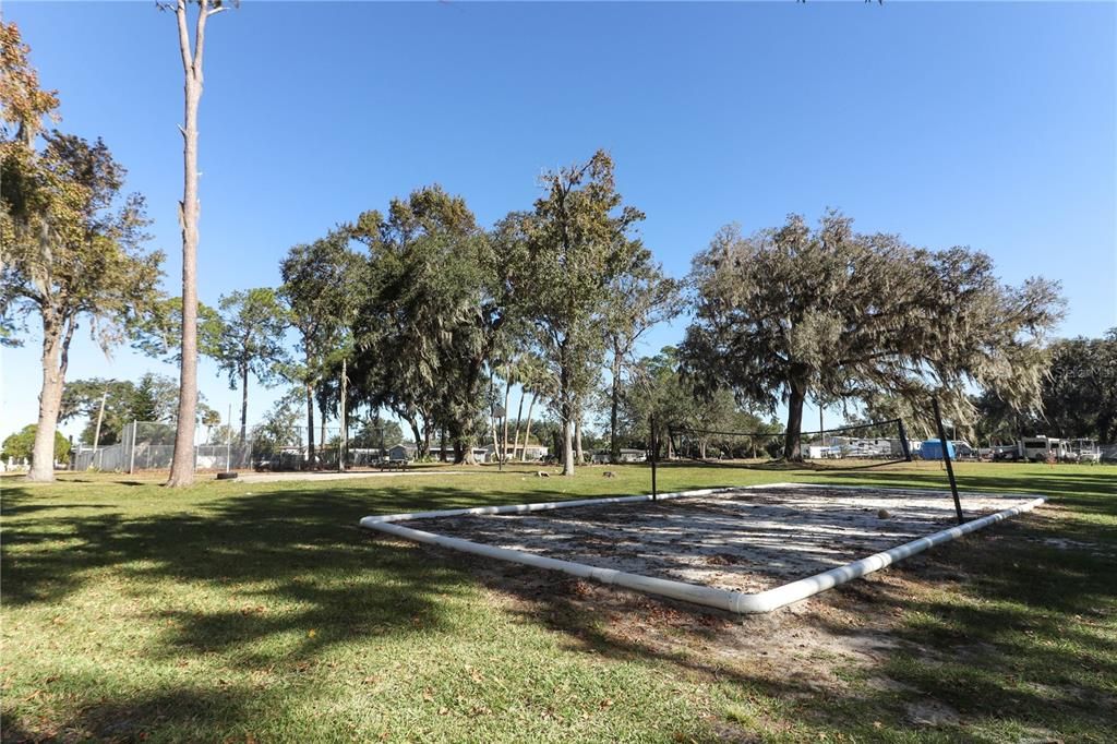 Volleyball court