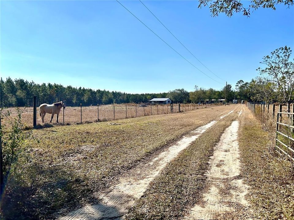 driveway to home