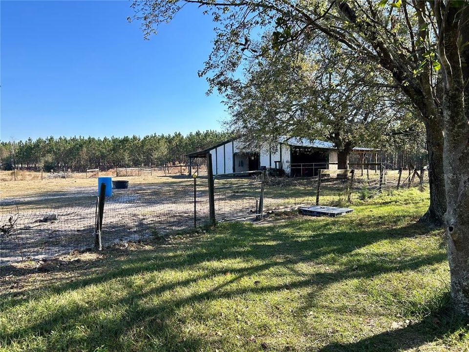 barn with 5 stalls