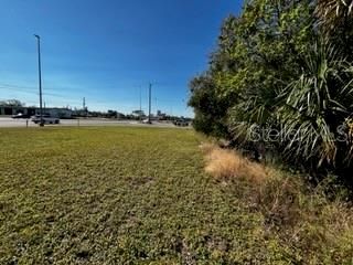 View east toward US17 from back of the property.  220 feet from here to US17.