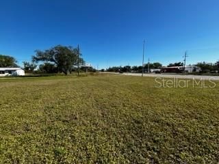 View east toward US17 from back of the property.  220 feet from here to US17.