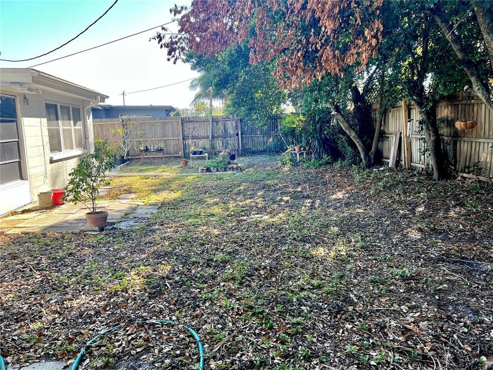 Fenced Backyard