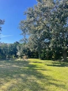 Oversized back yard with hedges for privacy