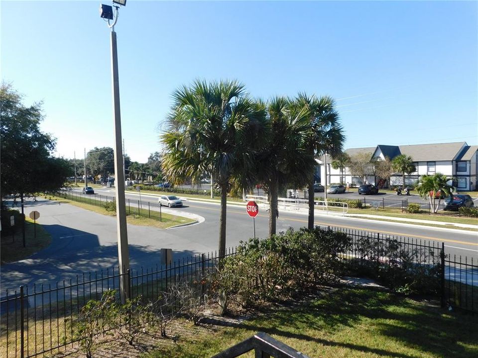 View from front porch.