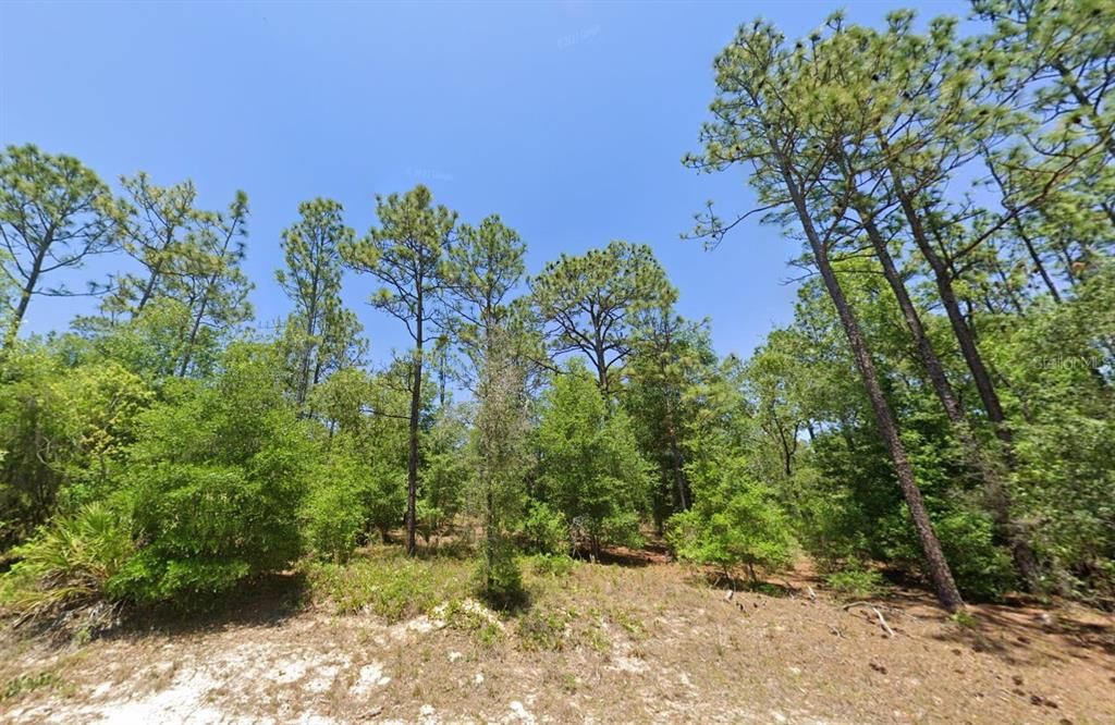 For Sale: $62,999 (1.20 acres)