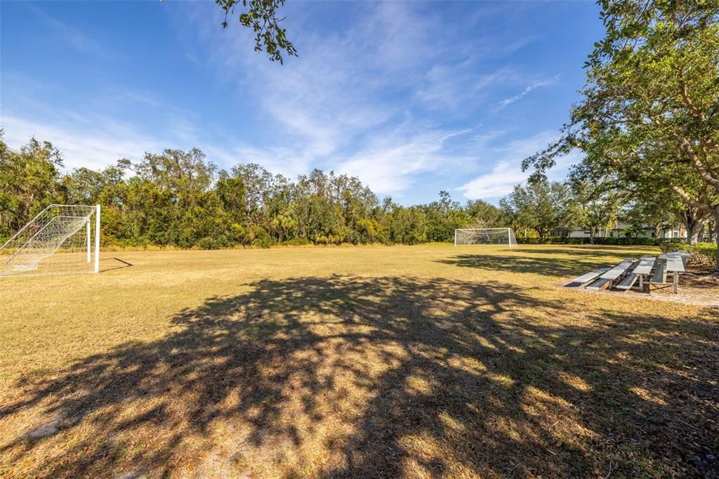 Community soccer field