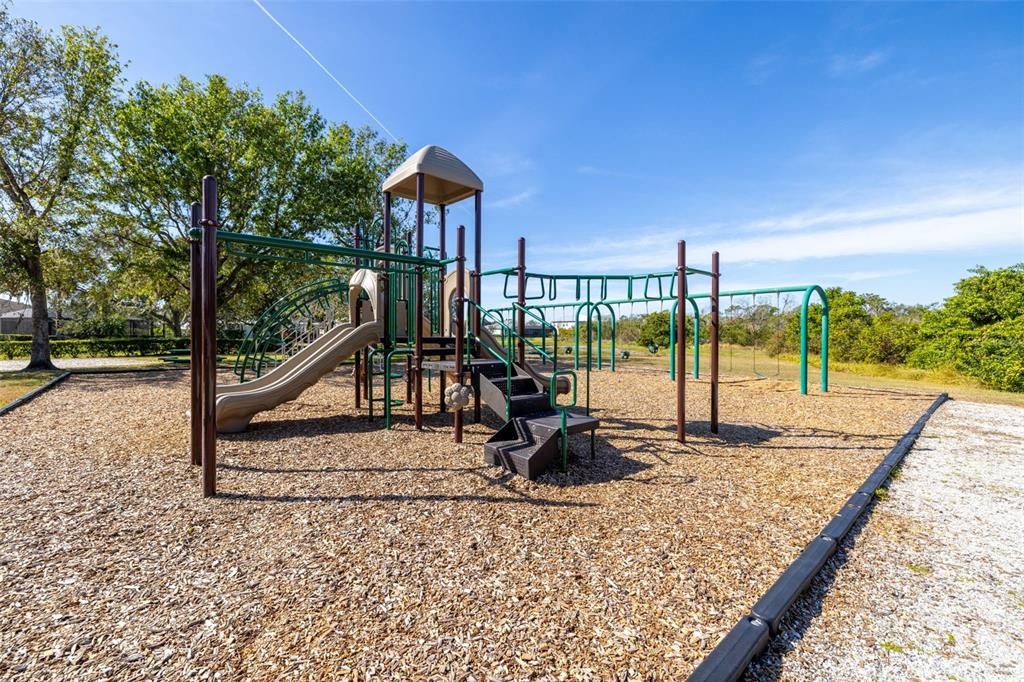 Main Community playground