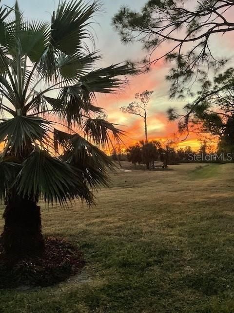 Sunset from backyard