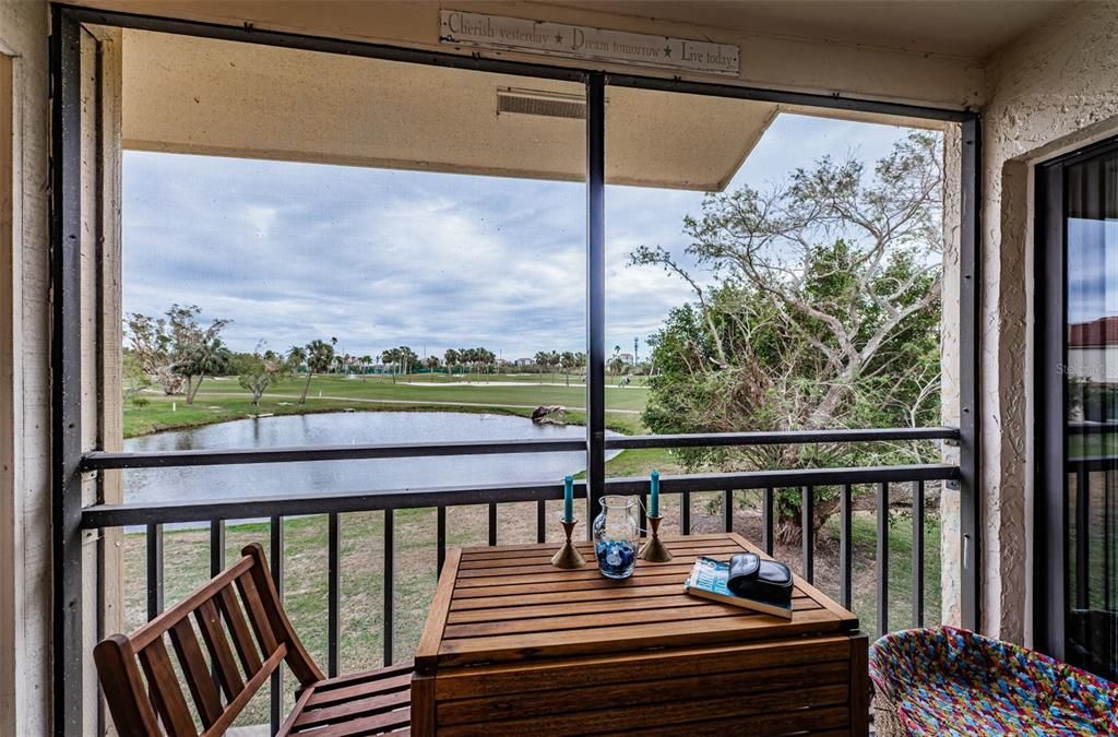 Sit, relax and enjoy the pelicans, egrets and more visiting the pond