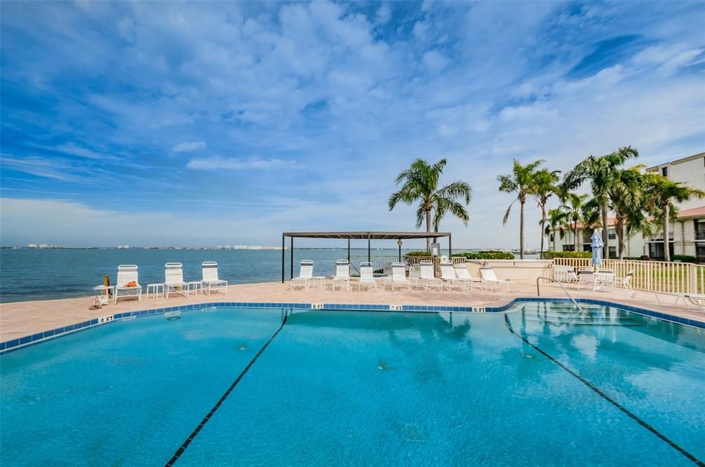 Heated Pool & Spa overlooking the Bay