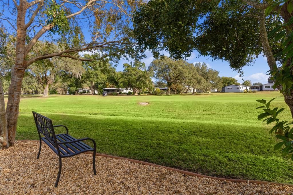 View of the Golf Course from backyard