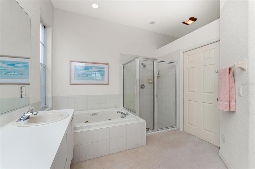 The master bath; the closed pocket door to the right is the toilet room.