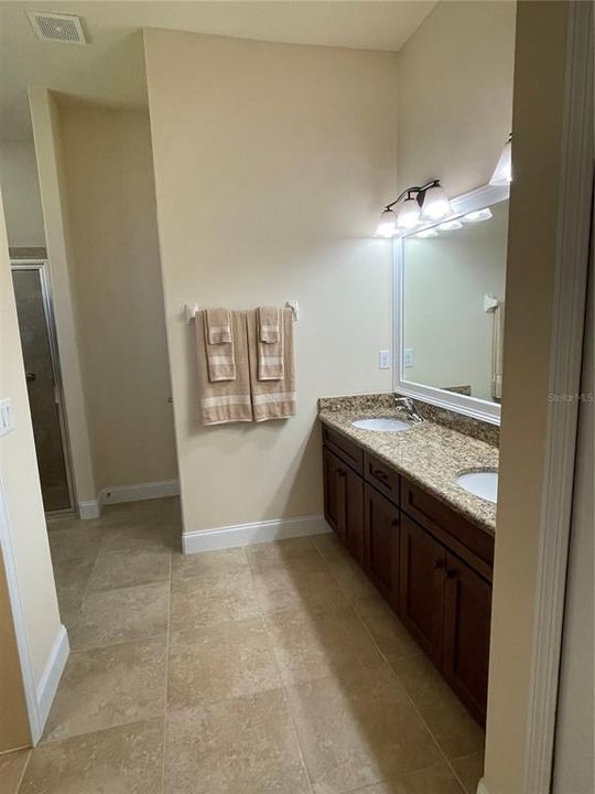 Master Bath Vanity Area