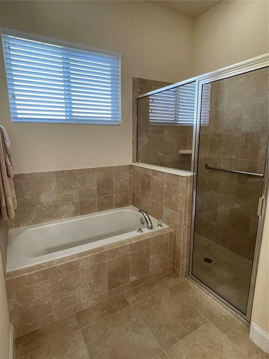 Master Bath Tub and Shower Area