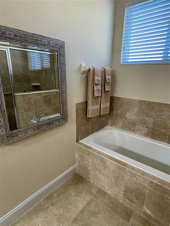 Master Bath Tub Area