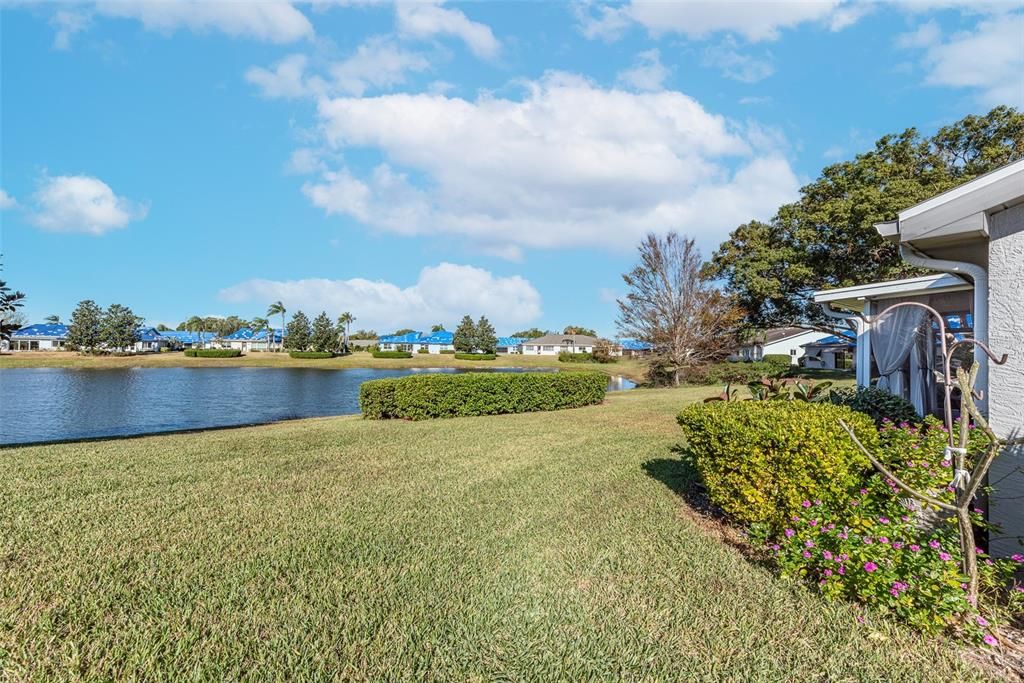 Pond view