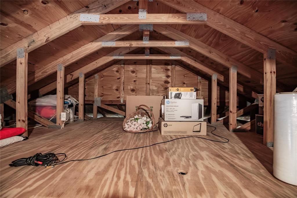 ATTIC STORAGE