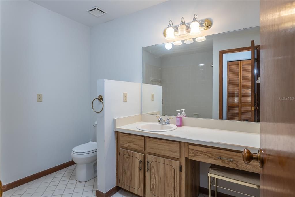 Large Master Bath With Skylight