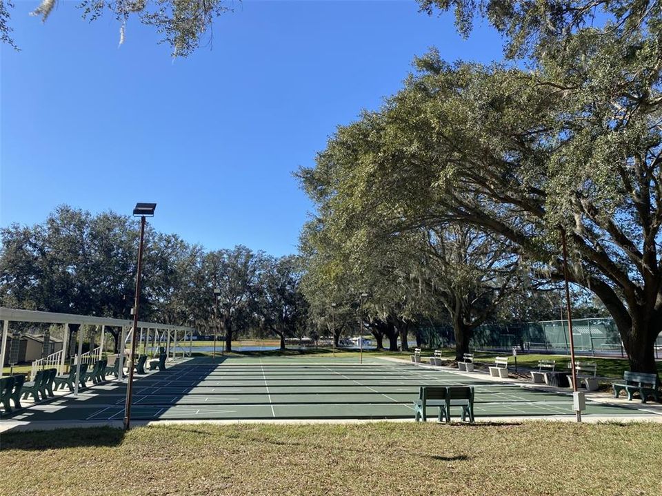 Community Outdoor Shuffleboard