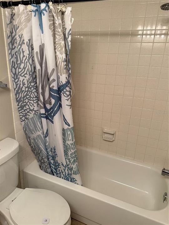 Guest shower/tub combo