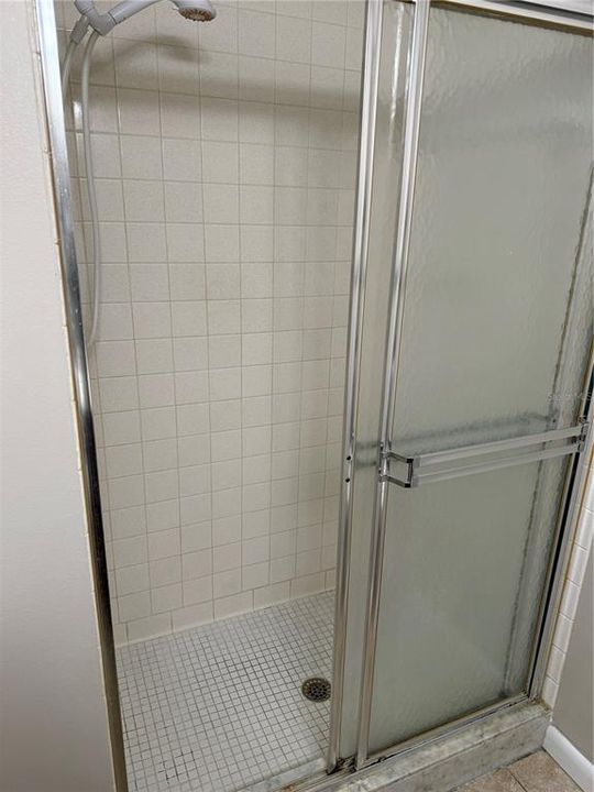 Primary Walk-in shower