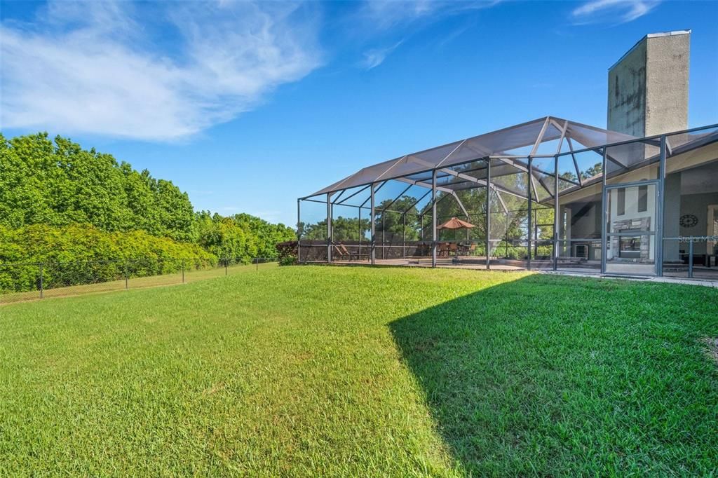 Rear yard and pool area