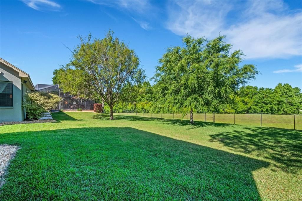 The back yard, great area for the whole family.