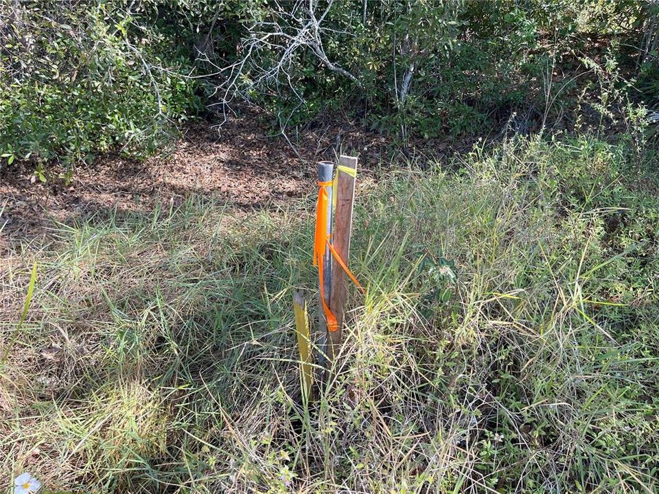 Southwest corner survey marker along road.