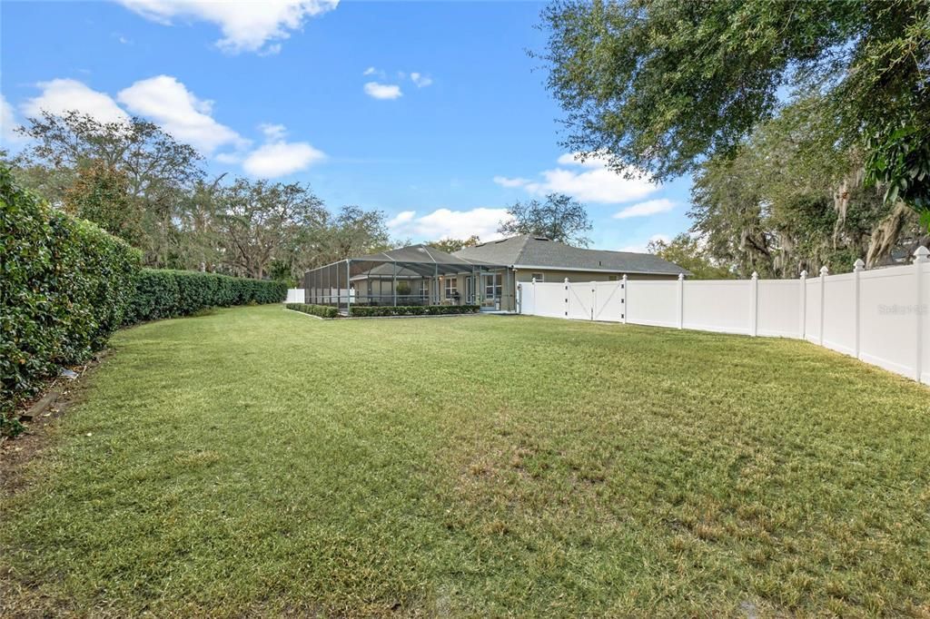 Huge Backyard space