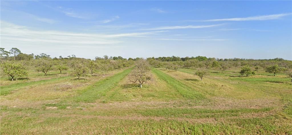 For Sale: $500,000 (39.84 acres)