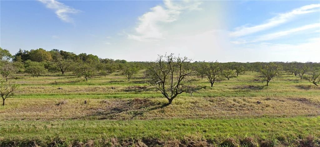 For Sale: $500,000 (39.84 acres)