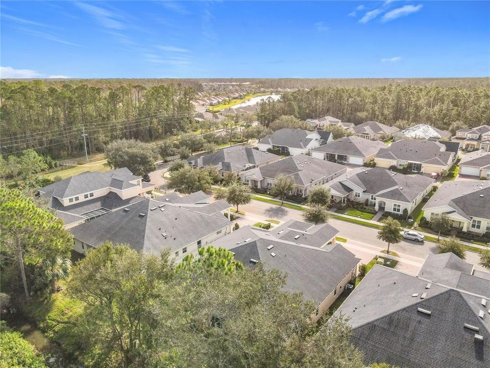 Ariel View of Savannah Pointe